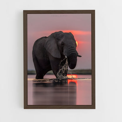 elephant-11 cadre Bois foncé