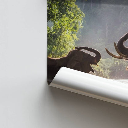Póster Elefante Asiático