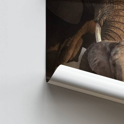 Pôster Mãe Elefante