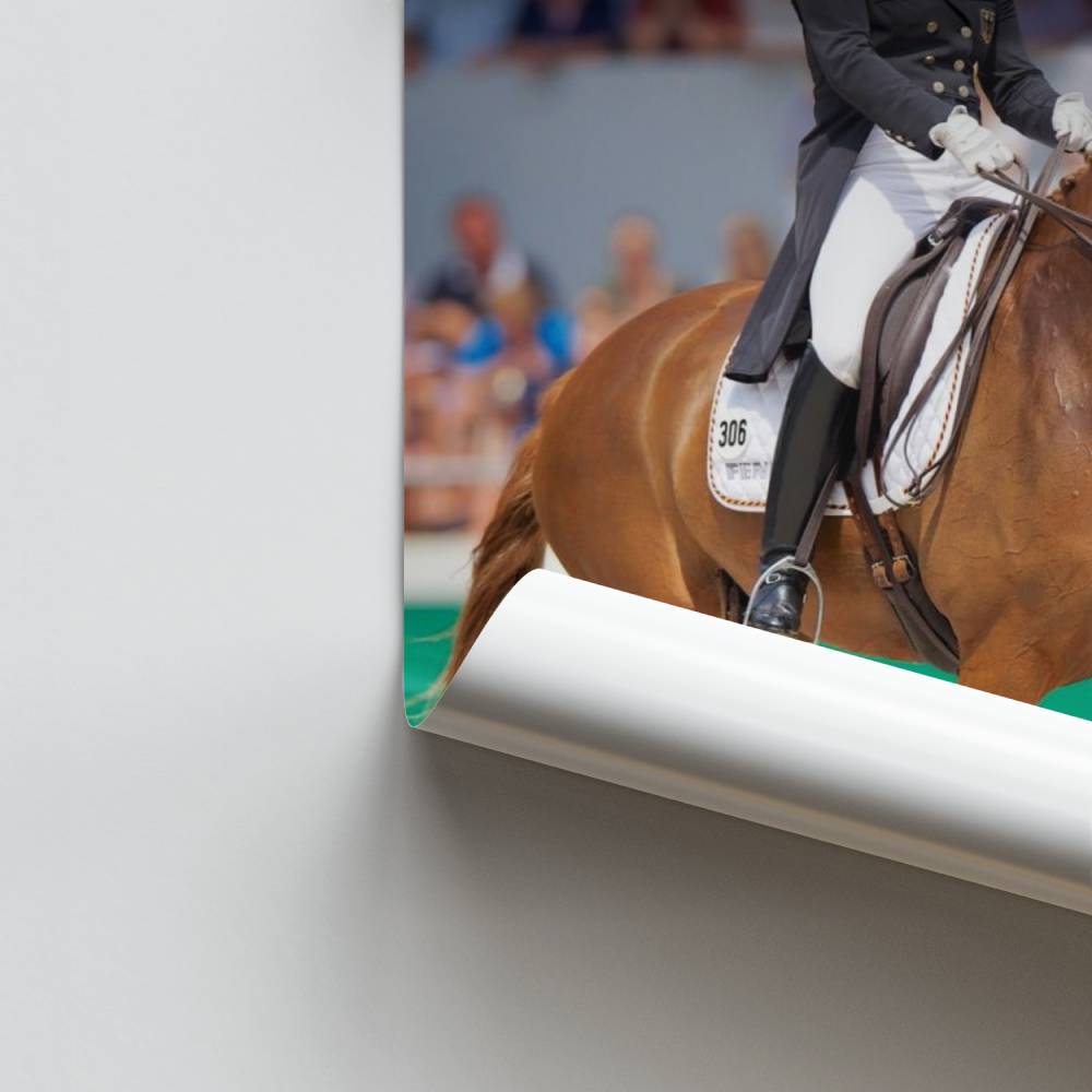 Pôster Beleza de equitação