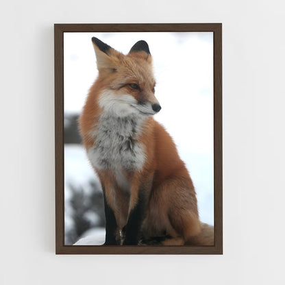 fox-8 cadre Bois foncé