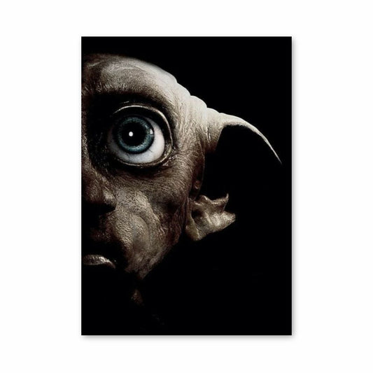 Pôster Dobby