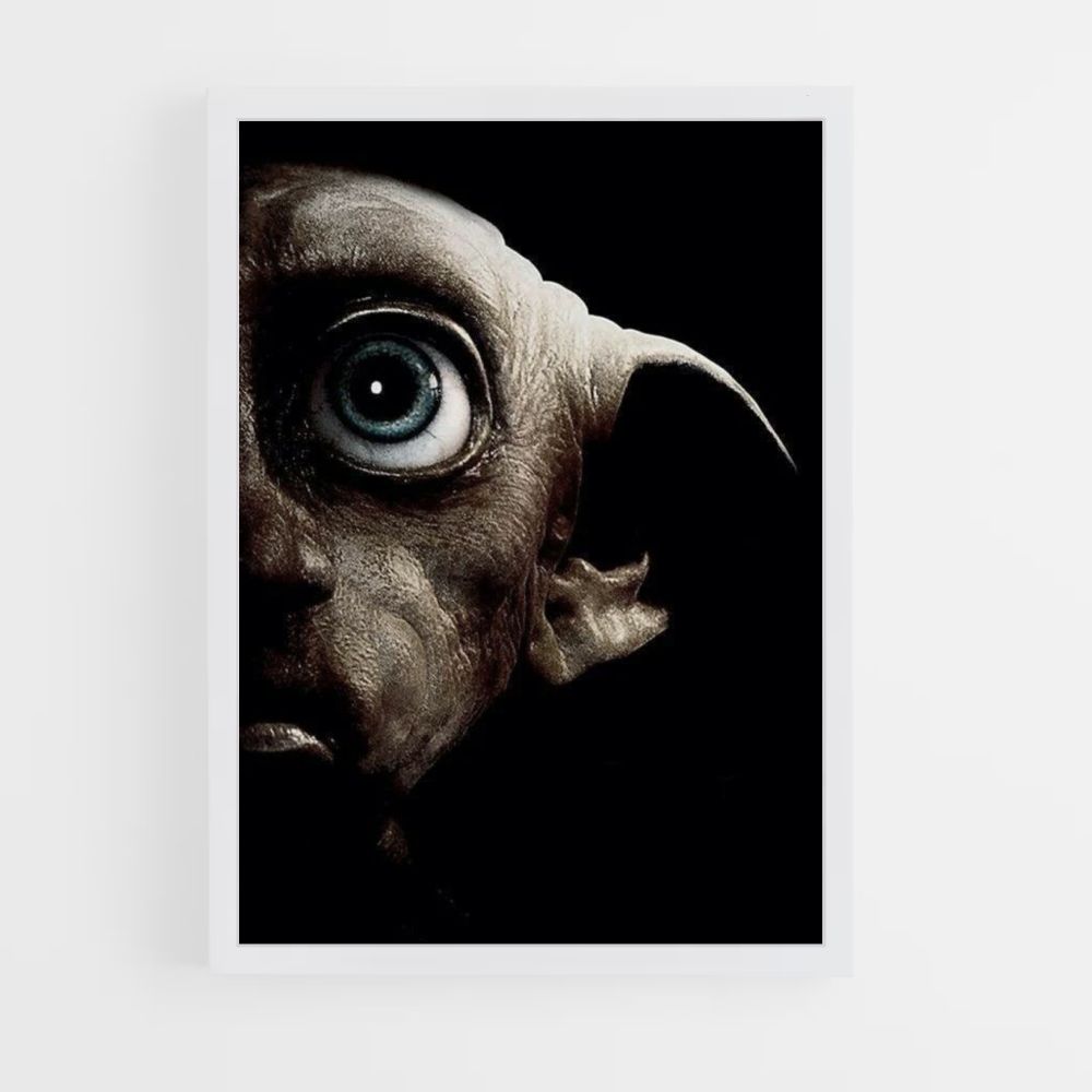 Pôster Dobby