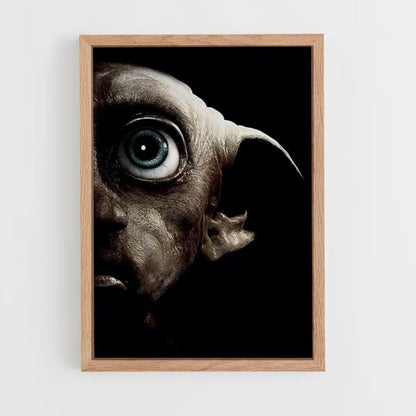 Pôster Dobby