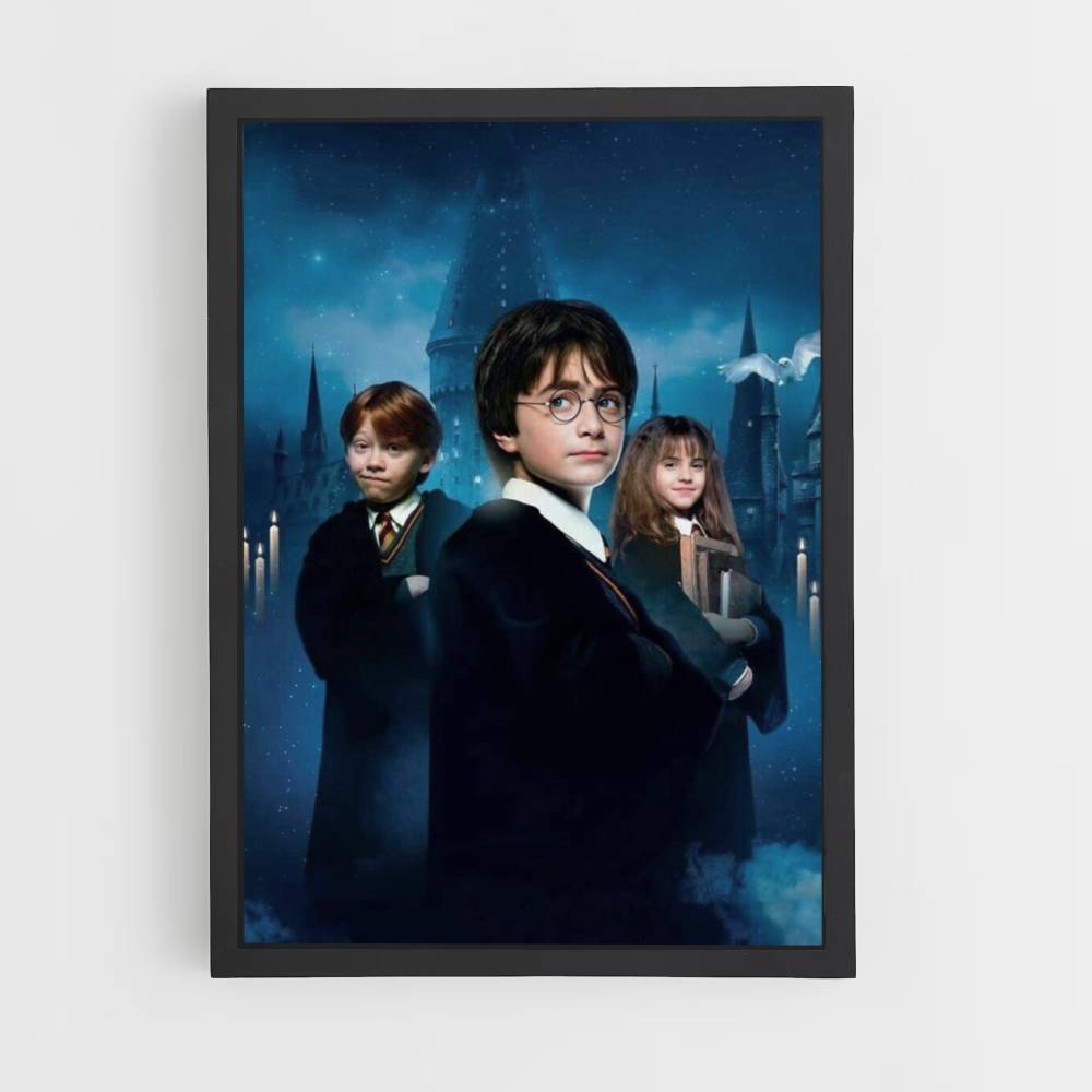 Pôster Harry Ron Hermione