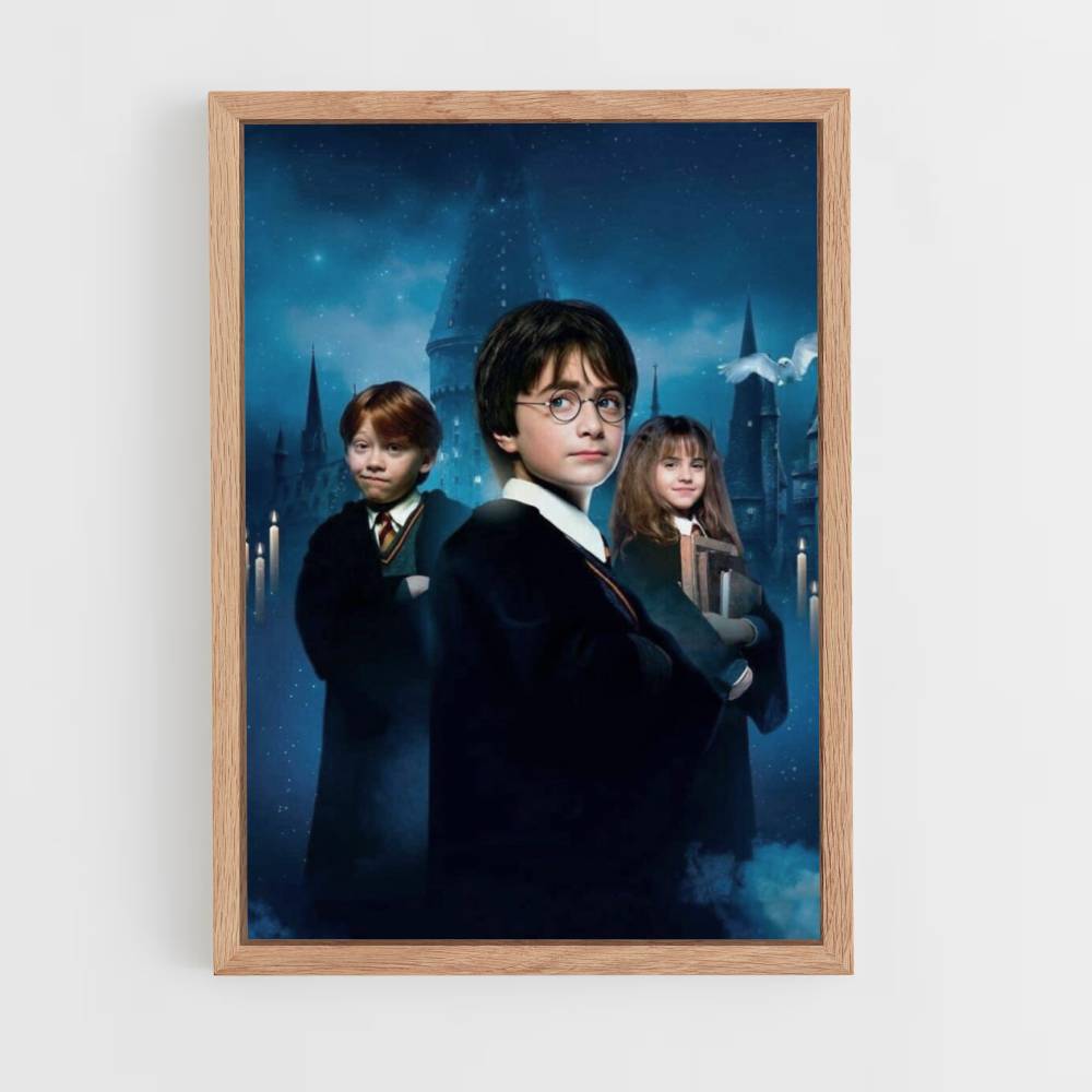 Pôster Harry Ron Hermione