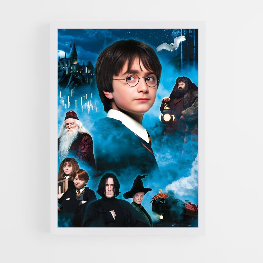 harry-potter-21 cadre Blanc
