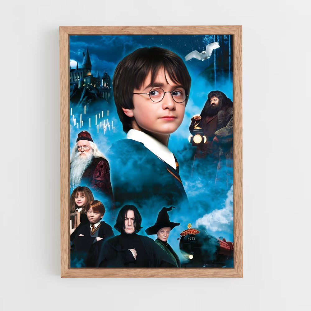 harry-potter-21 cadre Bois clair
