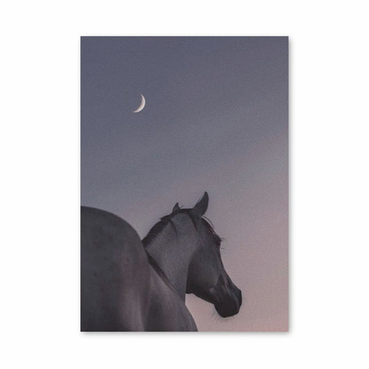 Póster Lua do Cavalo