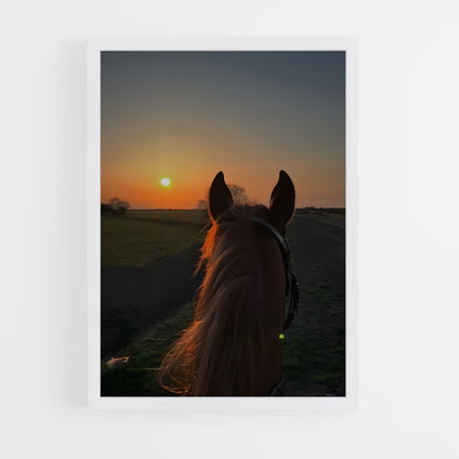 horse-2 cadre Blanc