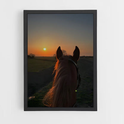 horse-2 cadre Noir