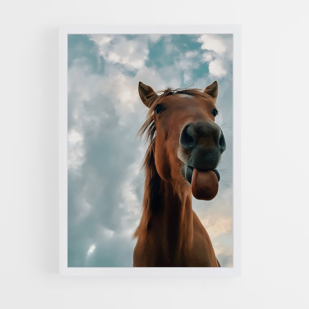 horse-5 cadre Blanc