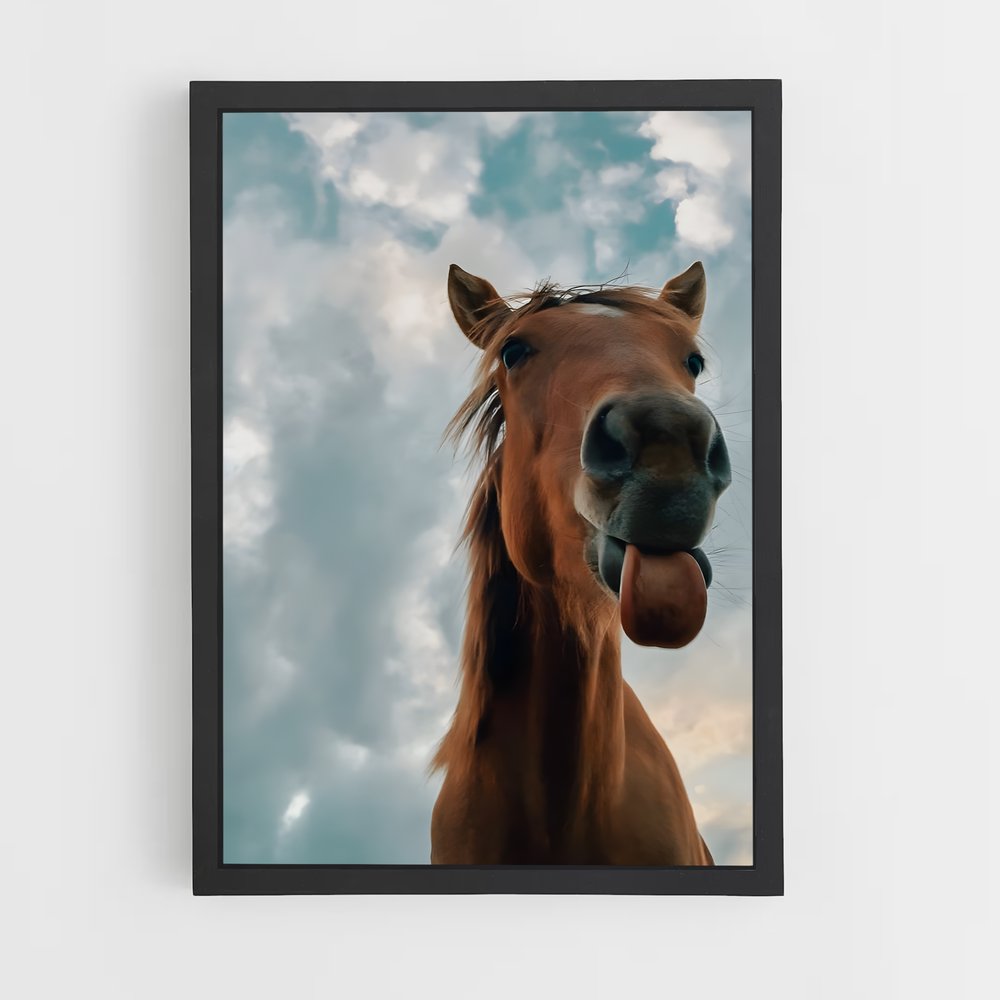 horse-5 cadre Noir