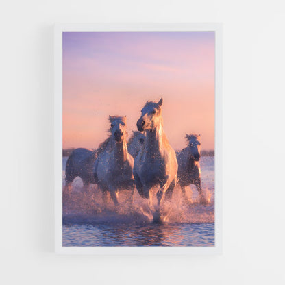 horse-7 cadre Blanc