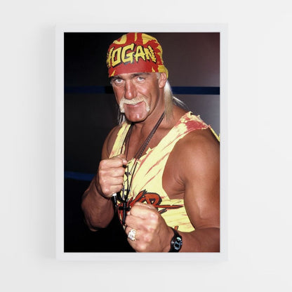 Pôster Hogan