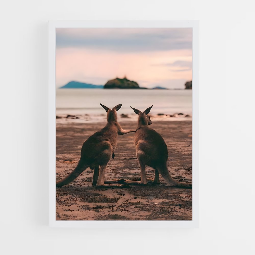 kangaroo-8 cadre Blanc