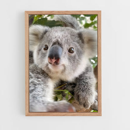 koala-4 cadre Bois clair