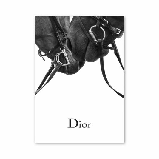 Pôster Cavalos Dior