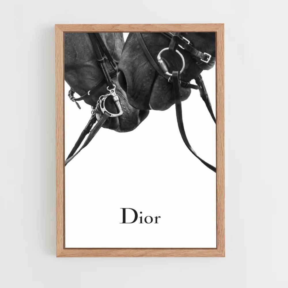 Pôster Cavalos Dior