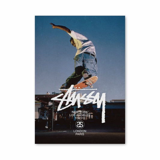 Pôster Stussy Skate