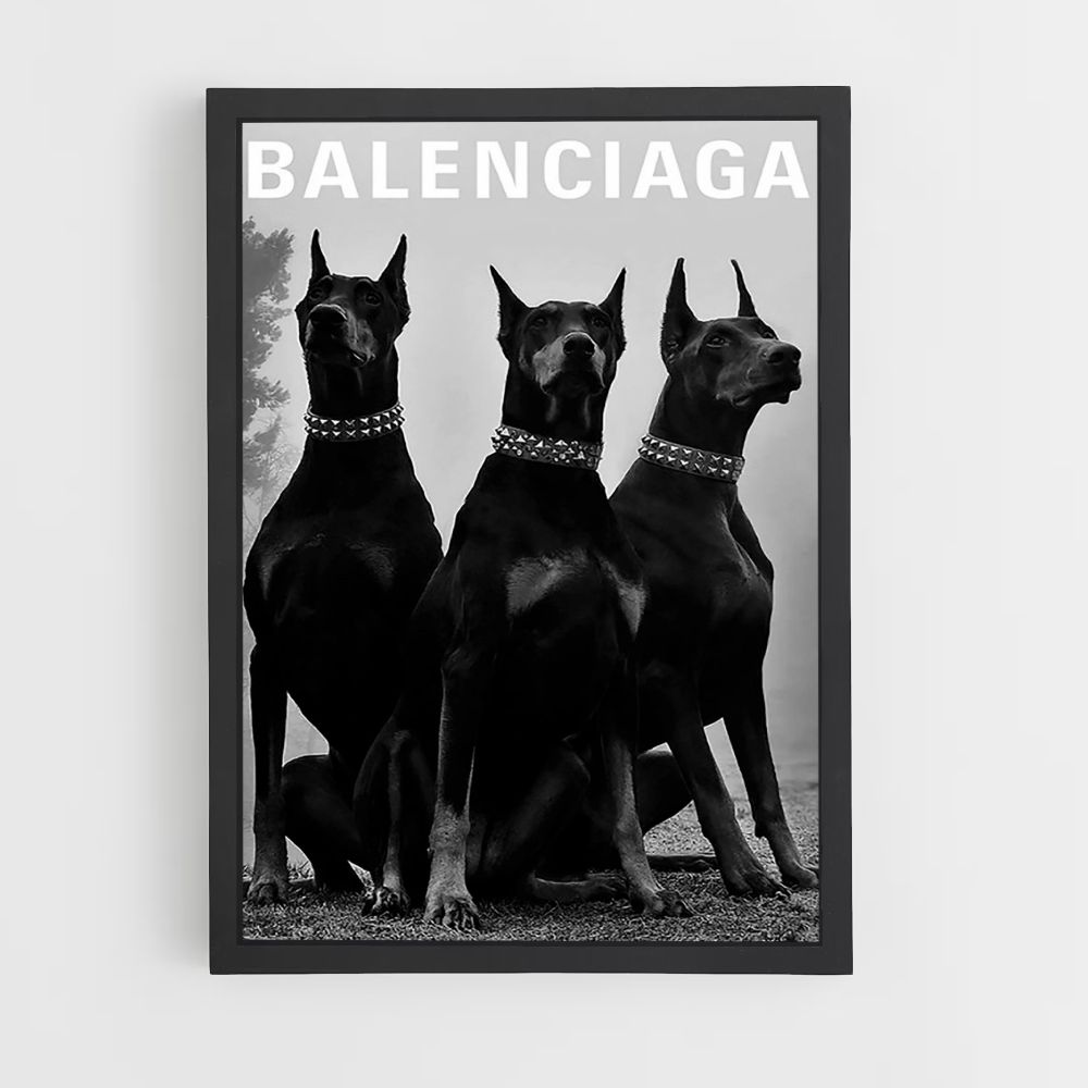 Póster Cachorro Balenciaga