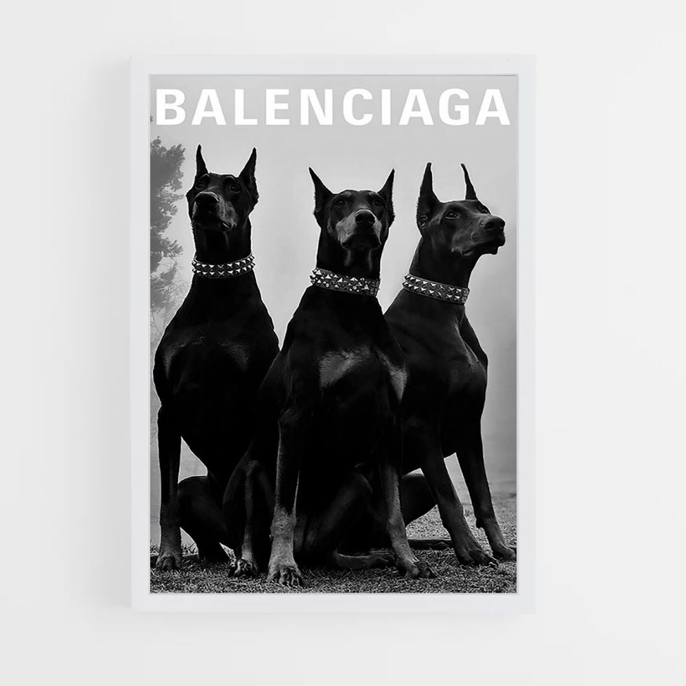 Póster Cachorro Balenciaga