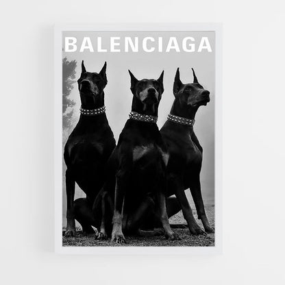 Póster Cachorro Balenciaga