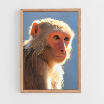 monkey-3 cadre Bois clair