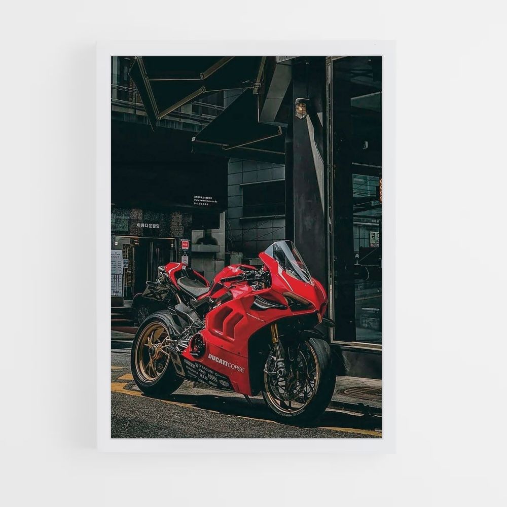 Pôster Panigali