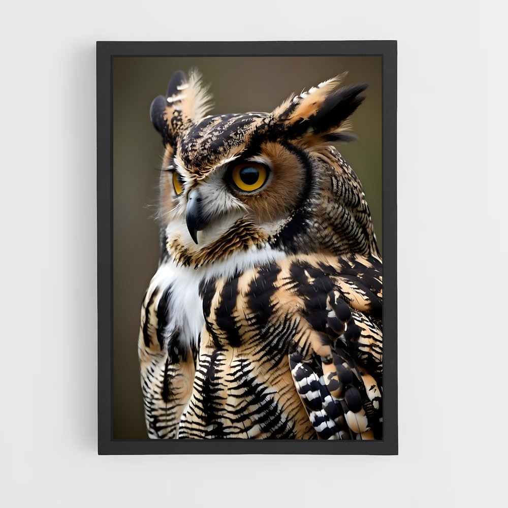 owl-1 cadre Noir