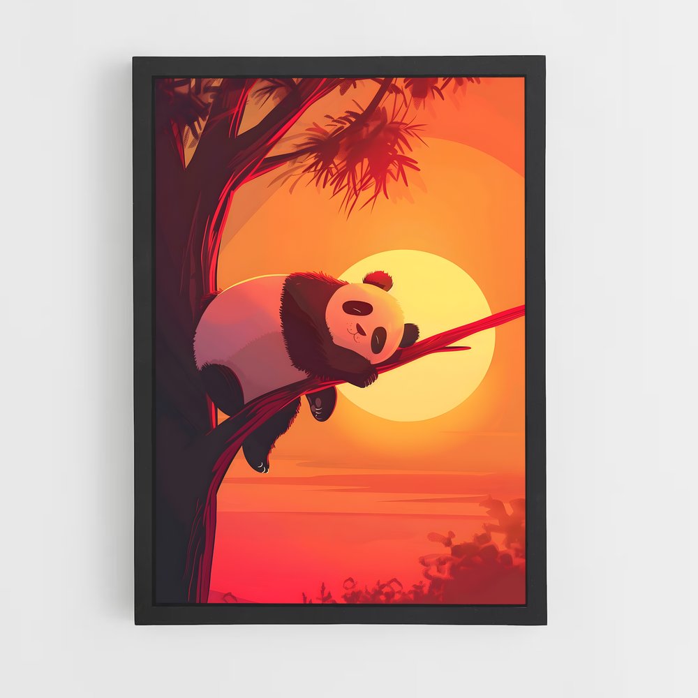 panda-3 cadre Noir