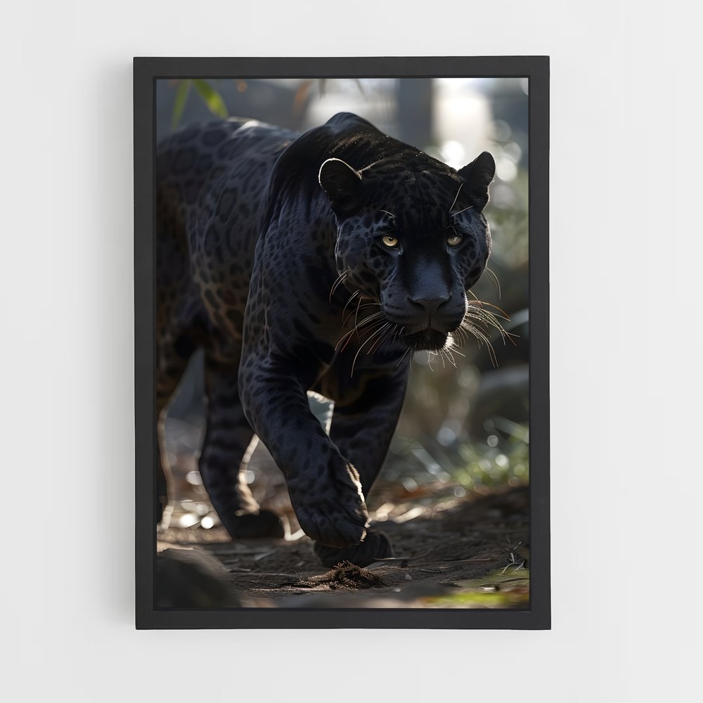 panther-5 cadre Noir