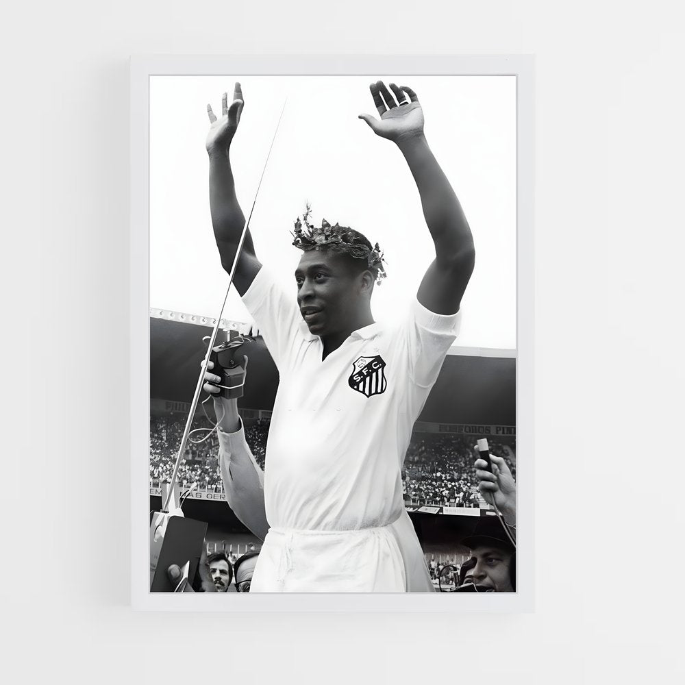 pele-1 cadre Blanc