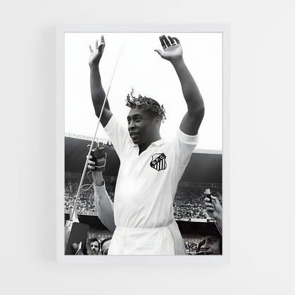 pele-1 cadre Blanc