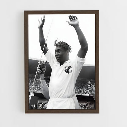 pele-1 cadre Bois foncé