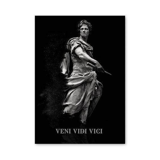 Póster Veni Vidi Vici