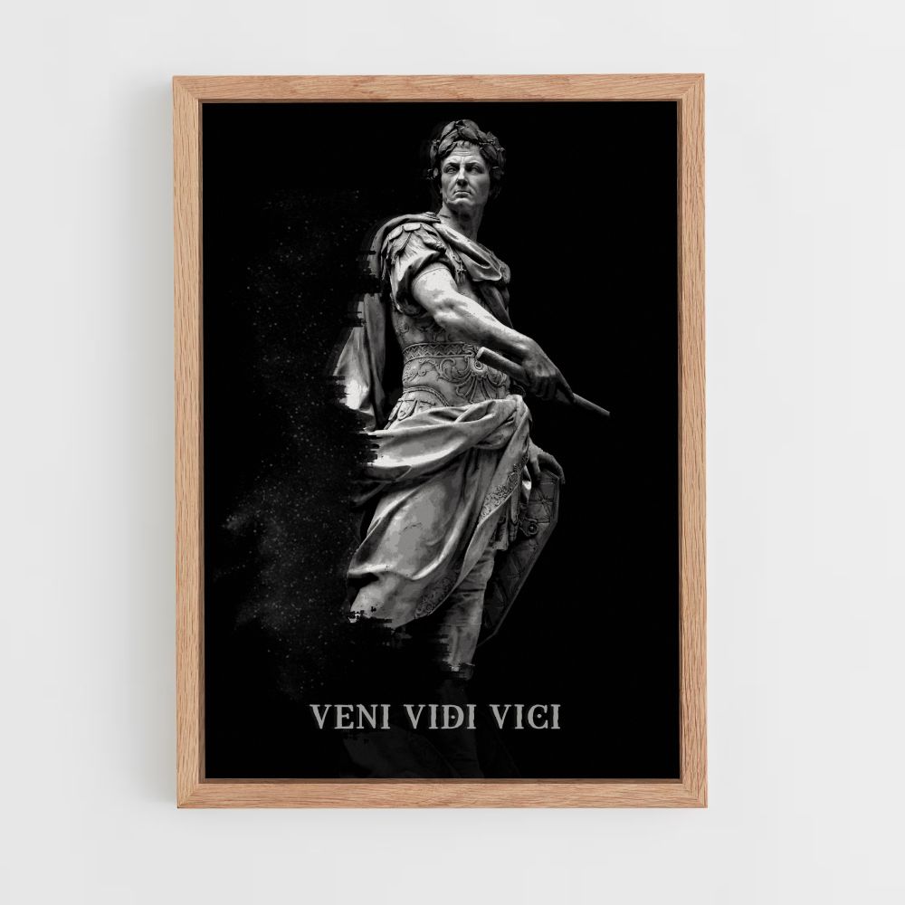 Póster Veni Vidi Vici