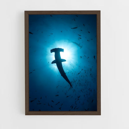 shark-4 cadre Bois foncé
