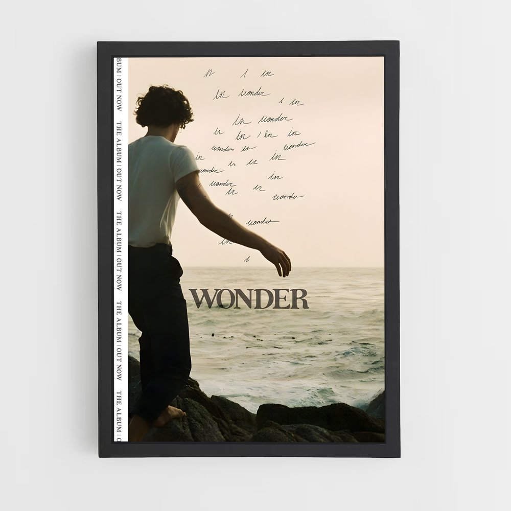 shawn-mendes-15 cadre Noir