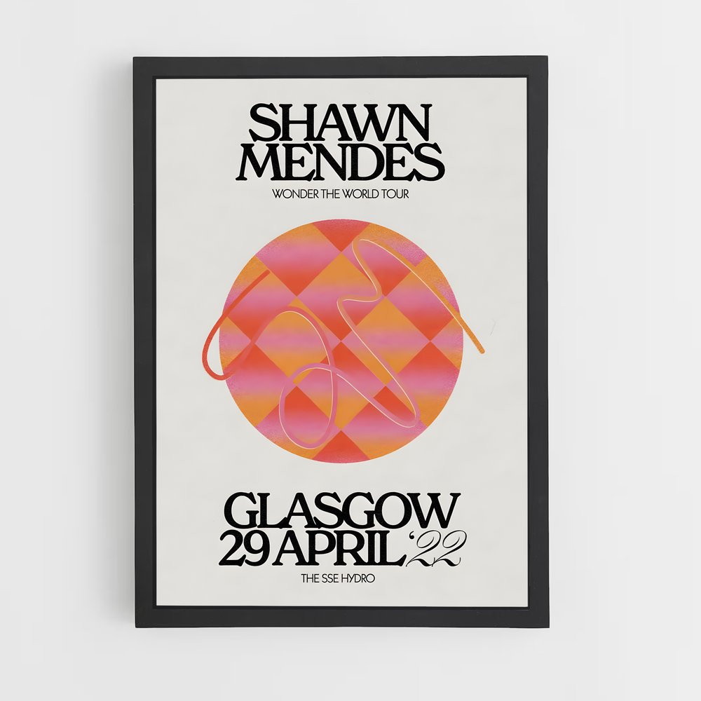 shawn-mendes-18 cadre Noir