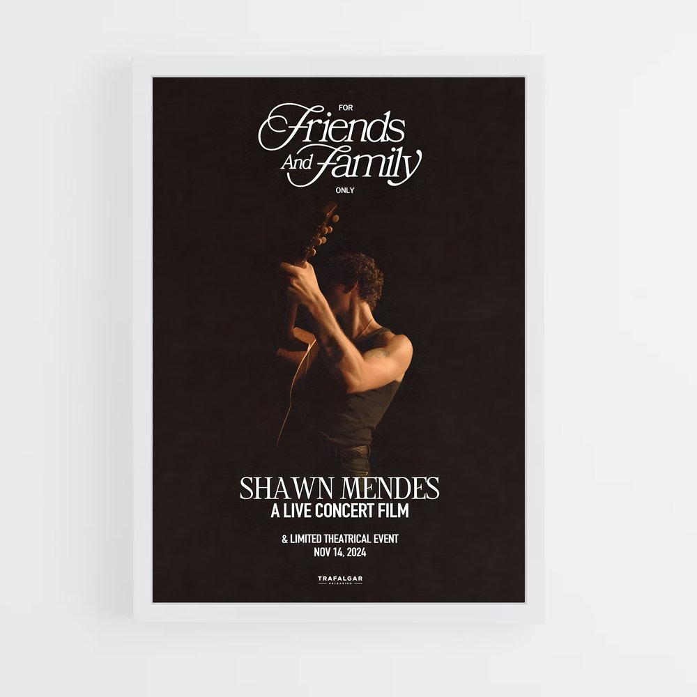 shawn-mendes-7 cadre Blanc