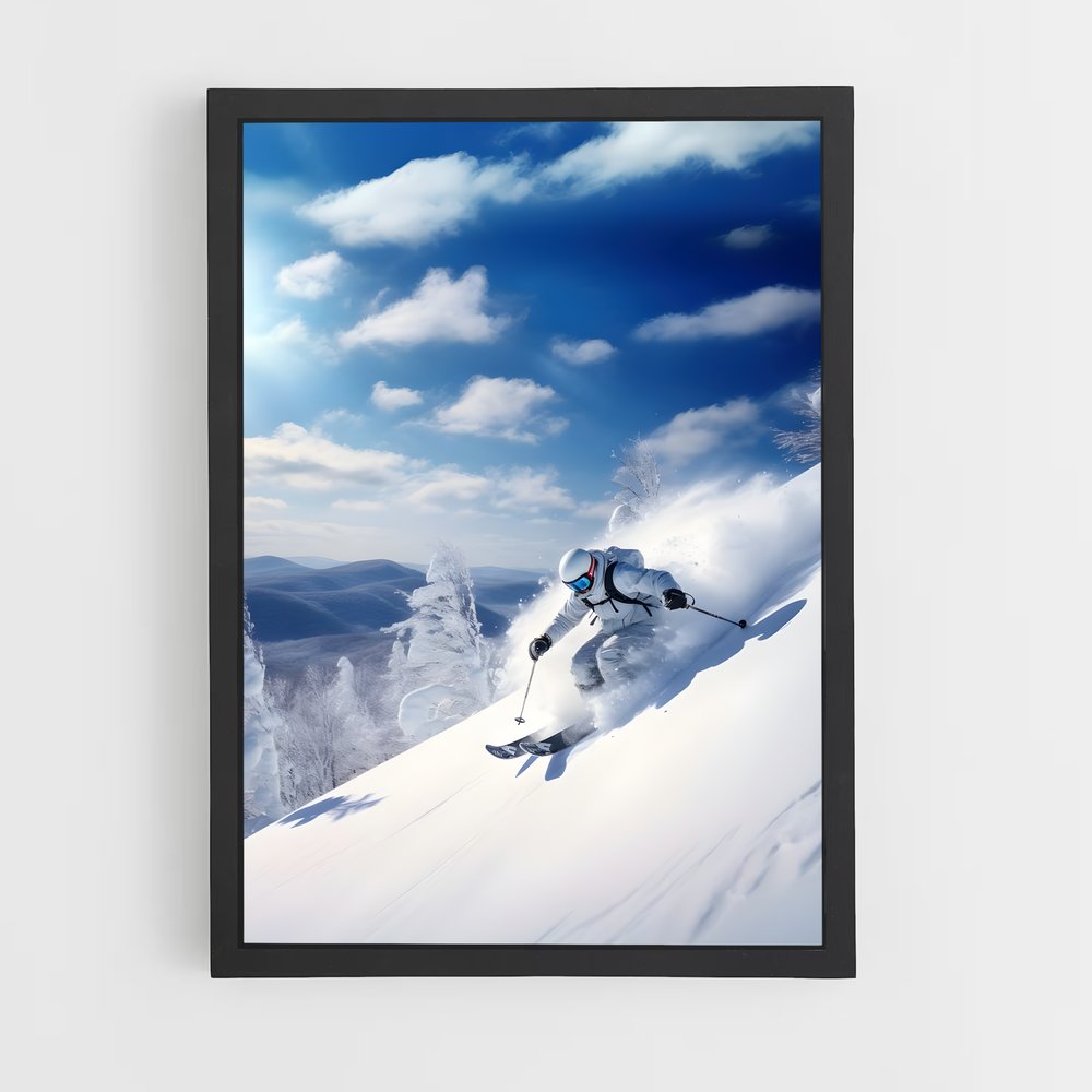 ski-3 cadre Noir