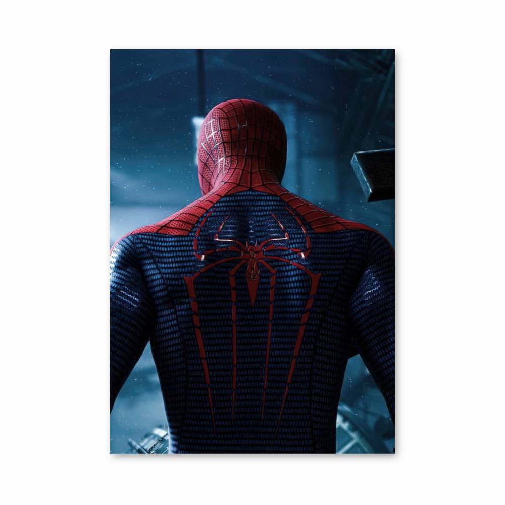 Poster Spiderman Dos