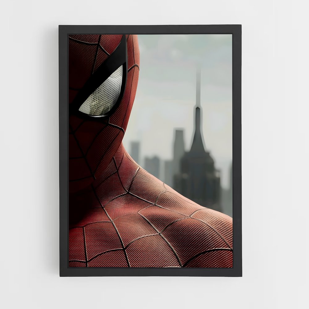 spiderman-15 cadre Noir