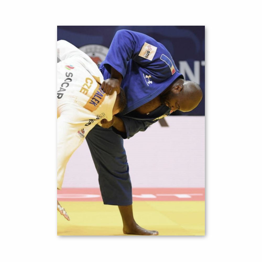 Pôster Teddy Riner Judô