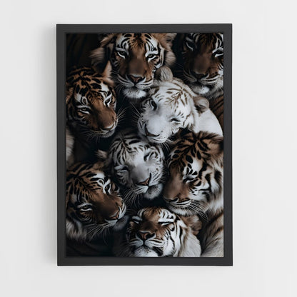 tiger-3 cadre Noir