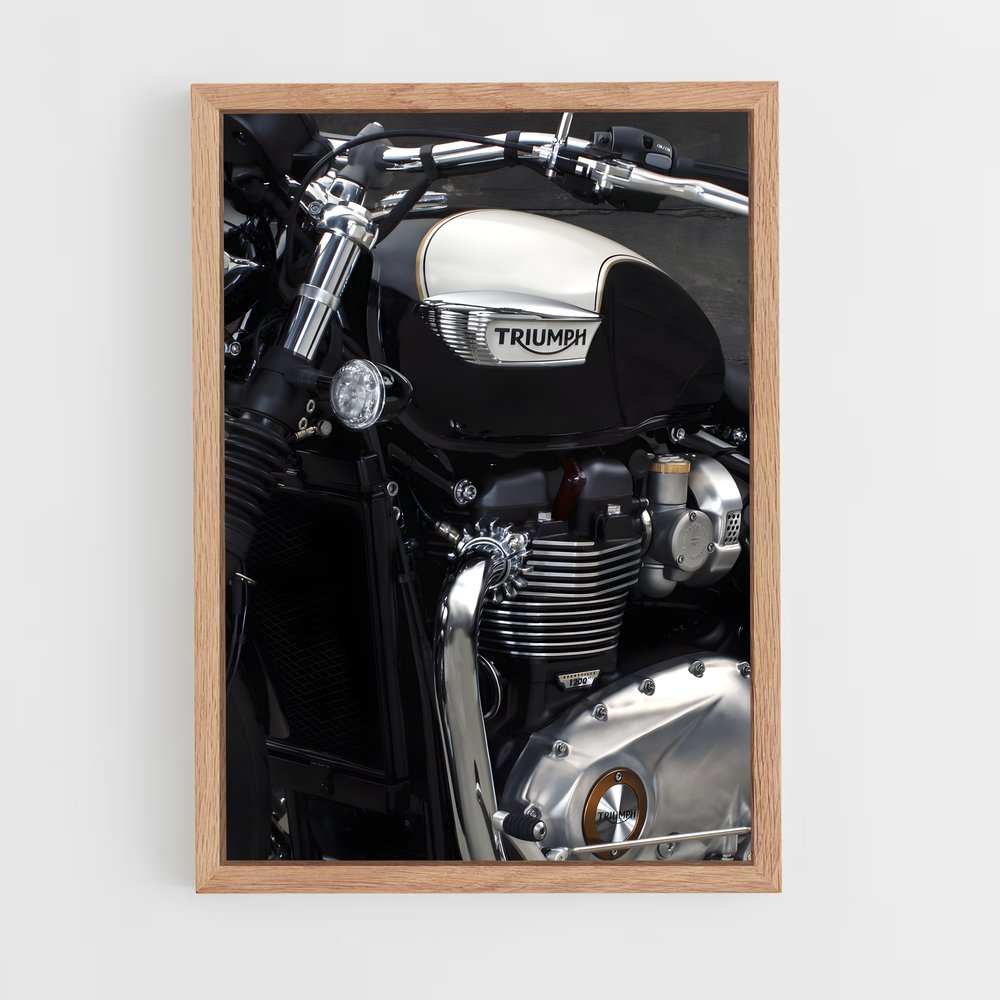 triumph-7 cadre Bois clair