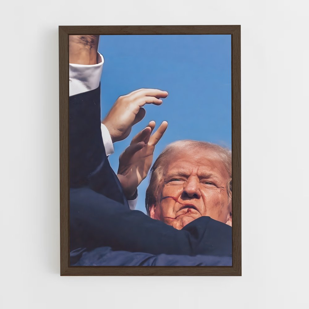 trump-4 cadre Bois foncé