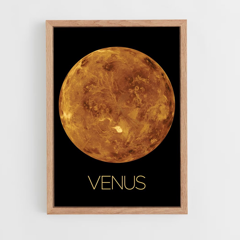 venus-13 cadre Bois clair