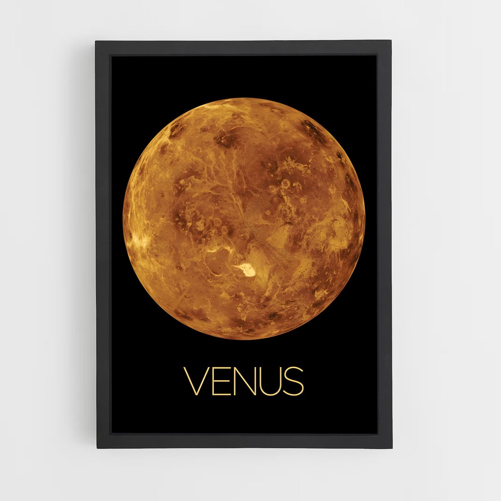 venus-13 cadre Noir